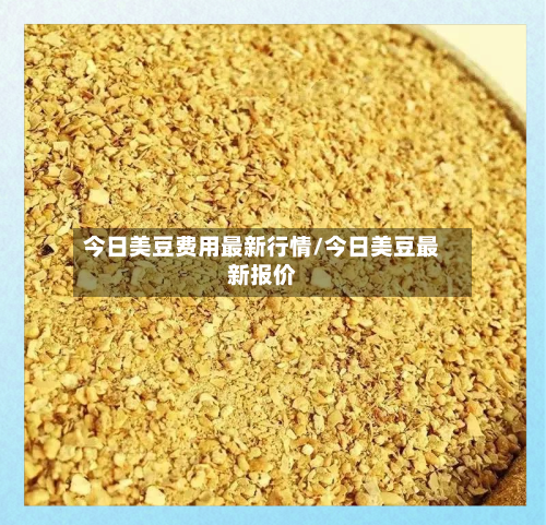 今日美豆费用最新行情/今日美豆最新报价